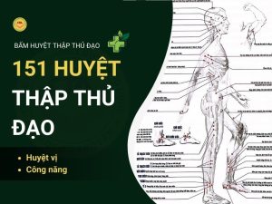 151 huyet thap thu dao