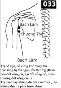 H Bach Lam