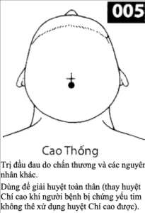 H Cao Thong