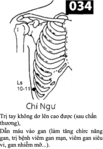 H Chi Ngu