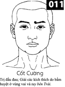H Cot Cuong