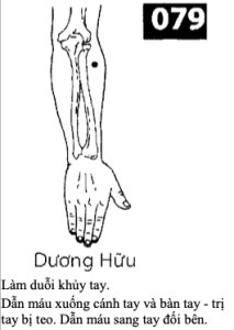 H Duong Huu