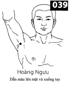 H Hoang Nguu