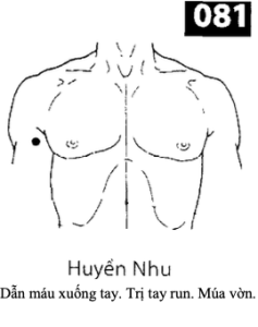 H Huyen Nhu