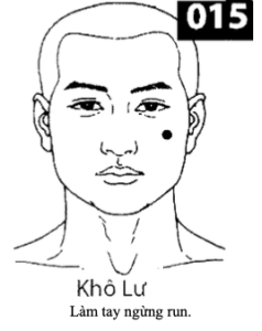 H Kho Lu