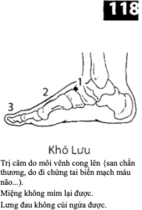 H Kho Luu