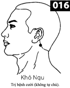 H Kho Ngu