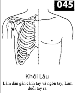 H Khoi Lau
