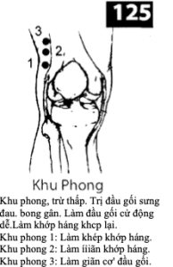 H Khu Phong