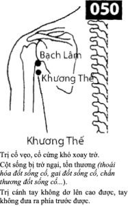 H Khuong The
