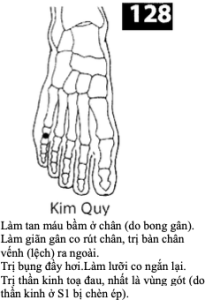 H Kim Quy