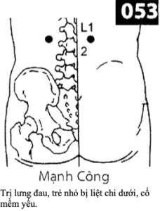 H Manh Cong