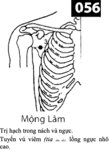 H Mong Lam