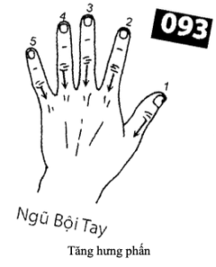 H Ngu Boi Tay