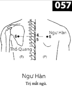 H Ngu Han
