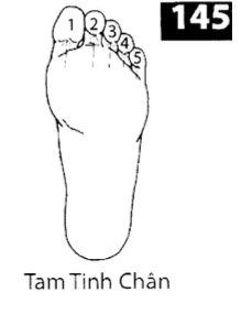 H Tam Tinh Chan