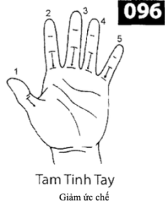 H Tam Tinh Tay