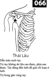 H Thai Lau