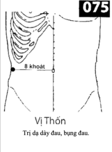 H Vi Thon