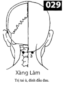 H Xang Lam
