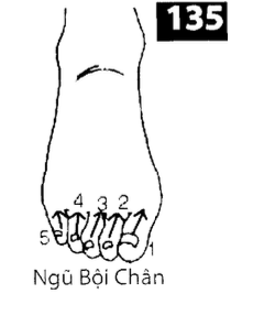 Ngu Boi Chan